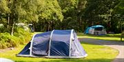 Tent Camping at Coniston Park Coppice Site in Coniston, Lake District