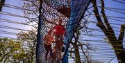 Visitors at Treetop Nets at Zip World Windermere in the Lake District, Cumbria