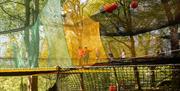 Visitors at Treetop Nets at Zip World Windermere in the Lake District, Cumbria