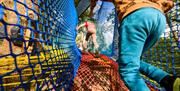 Visitors at Treetop Nets at Zip World Windermere in the Lake District, Cumbria