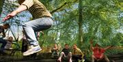 Visitors at Treetop Nets at Zip World Windermere in the Lake District, Cumbria