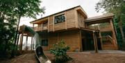 Exterior and slide at Luna Treehouse at Into the Woods near Little Salkeld, Cumbria