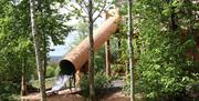Slide at Silva Treehouse at Into the Woods near Little Salkeld, Cumbria