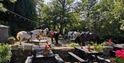 Horses and outdoor seating at The King's Head in Ravenstonedale, Cumbria