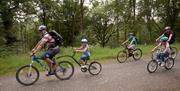 Biking Trails