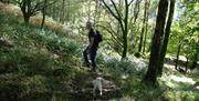Forest Bathing - Full Circle Experiences