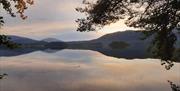 Forest Bathing - Full Circle Experiences