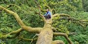 Forest Bathing - Full Circle Experiences