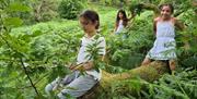 Forest Bathing - Full Circle Experiences