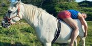 Meditate With Horses - Full Circle Experiences