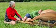 Meditate With Horses - Full Circle Experiences