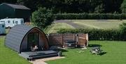 Luxury Glamping Pod at Low Moor Head in Longtown, Cumbria