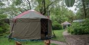 Glamping yurts at The Black Swan in Ravenstonedale, Cumbria