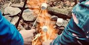 Visitors toasting marshmallows during a bushcraft experience with Graythwaite Adventure in the Lake District, Cumbria