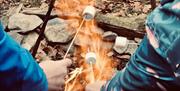 Visitors toasting marshmallows at a bushcraft experience with Graythwaite Adventure Near Hawkshead, Lake District