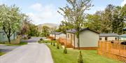Holiday lodges at Hillcroft Park Holiday Park in Pooley Bridge, Lake District