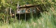 Exterior at Tawny Owl Treehouse from Classic Cottages in the Lake District, Cumbria