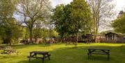 Park setting of White Cross Bay Holiday Park in Windermere, Lake District