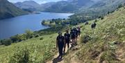 Visitors on a guided walk with South Lakes Adventures in the Lake District, Cumbria