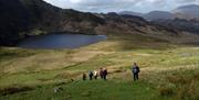 Visitors on a guided walk with South Lakes Adventures in the Lake District, Cumbria