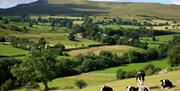 Scenic Views and Walks near The Settle - Carlisle Railway line in Cumbria, UK