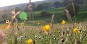 Scenic Views and Walks near The Settle - Carlisle Railway line in Cumbria, UK