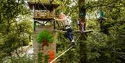Treetop Drop at Zip World Windermere
