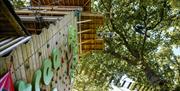 Treetop Drop at Zip World Windermere