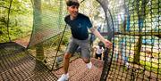 Treetop Nets at Zip World Windermere