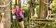 Treetop Trek at Zip World Windermere