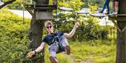 Treetop Trek at Zip World Windermere