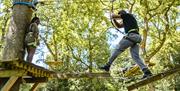 Treetop Trek at Zip World Windermere