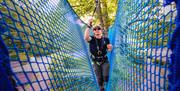 Treetop Trek at Zip World Windermere