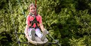 Treetop Trek at Zip World Windermere