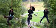 Treetop Trek at Brockhole on Windermere Visitor Centre in the Lake District