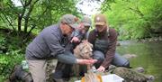 Visitors and dog examining fish caught on a fishing trip with West Pennine Angling Solutions in the Lake District, Cumbria