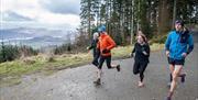 Running Trails at Whinlatter Forest, Lake District