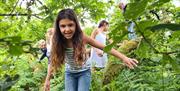 Woodland Activities - Full Circle Experiences