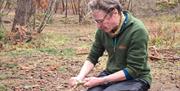 Woodland Activities - Full Circle Experiences