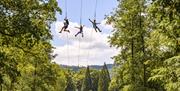 Zip World Windermere