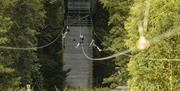 Zip World Windermere