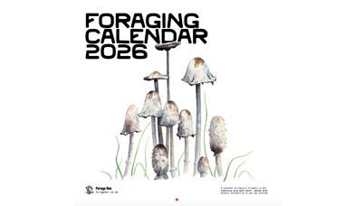 Cover for the Foraging Calendar 2026 by Forage Box