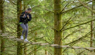 Women doing high ropes course at Go Ape Whinlatter