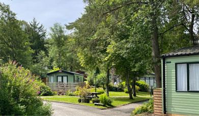 Caravans at Newby Bridge Country Caravan Park