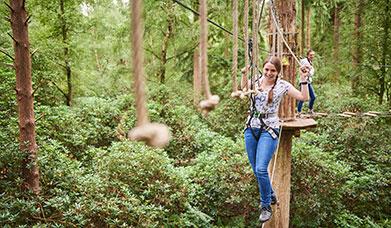 Visitors climb the Treetop Challenge at Go Ape Grizedale