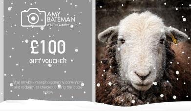 Gift Voucher from Amy Bateman Photography