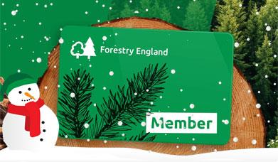 Forestry England Gift Voucher