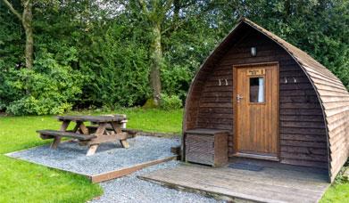 Glamping cabin at Woodclose Park