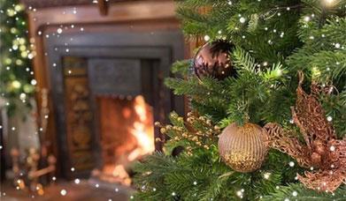 Christmas Decor at Farlam Hall near Brampton, Cumbria