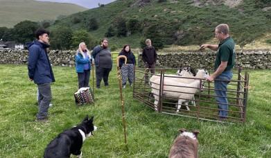 Visitors watching a sheepdog demonstration at Mosedale End Farm B&B
